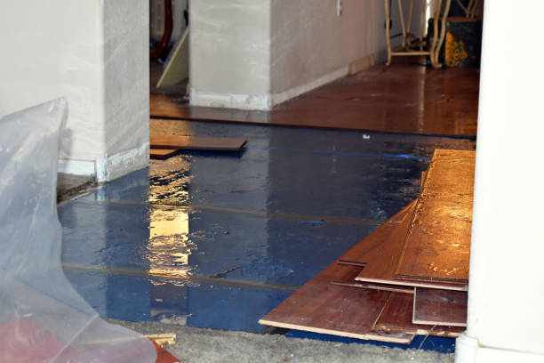 Professional Flood Damage Repair technician working in Mansfield, WA